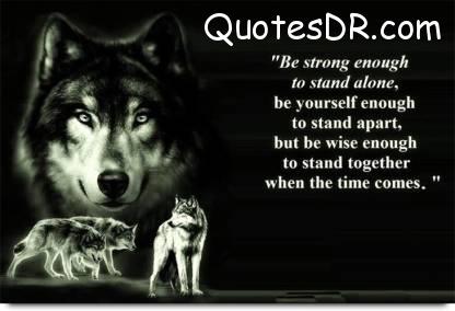 Wolf Quotes Wallpaper