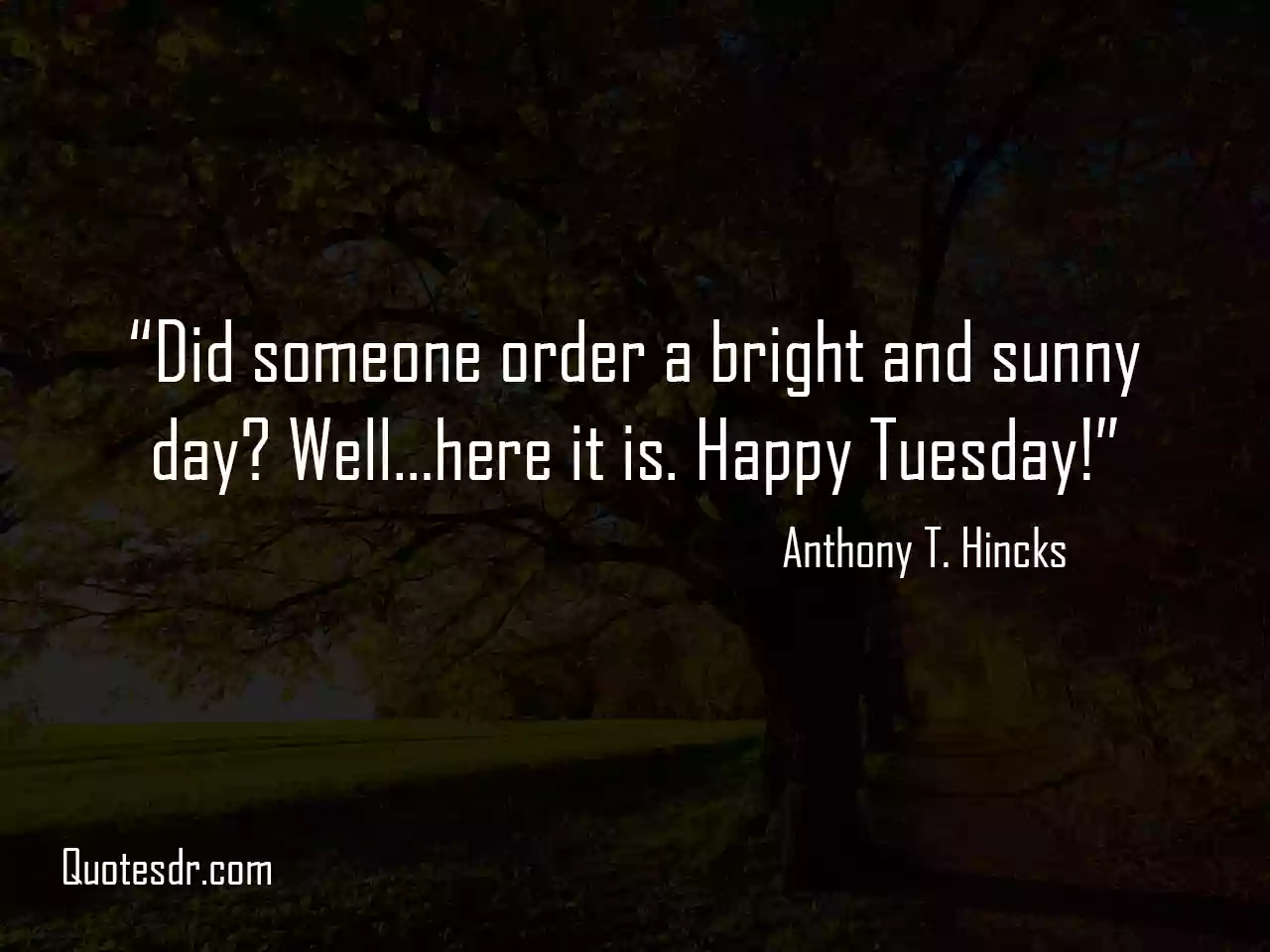 Thoughtful Tuesday Quotes