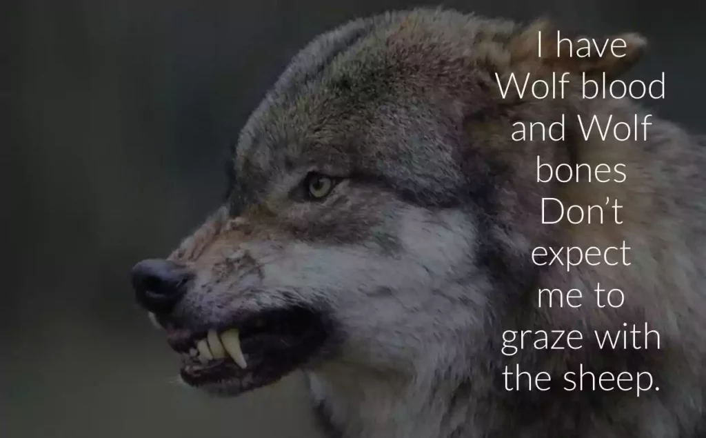 Wolf Quotes and Sayings
