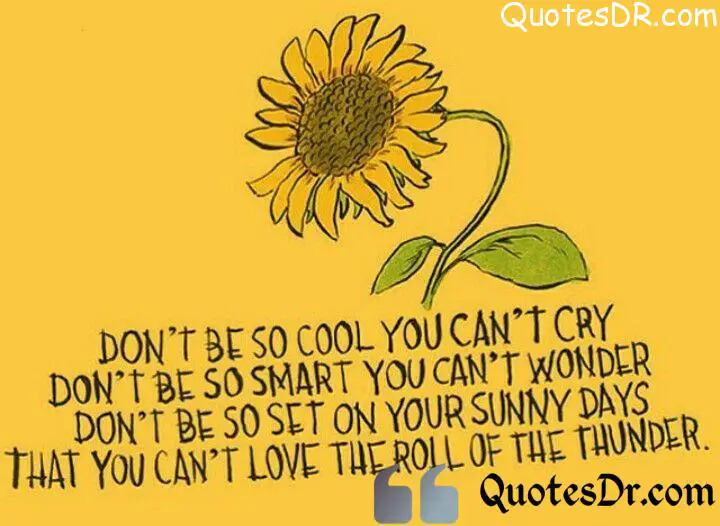 Top 190+ Quotes On Sunflower Quotes