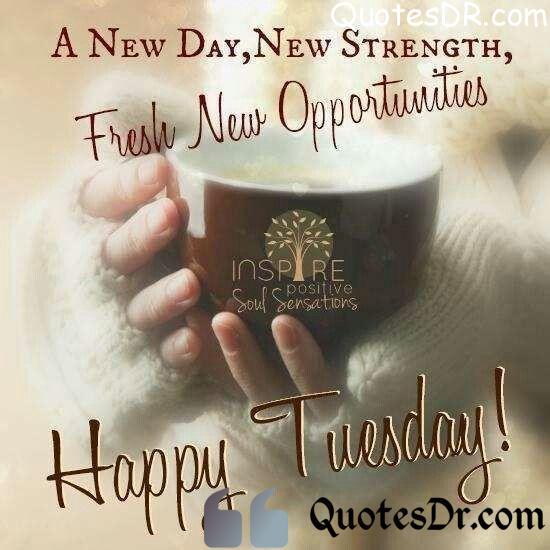 How do you say Happy Tuesday? Beautiful Tuesday Quotes