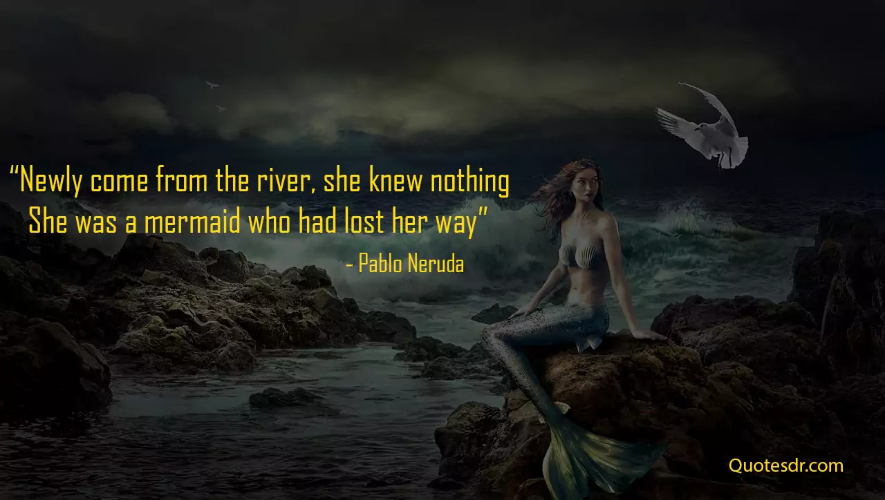 Ariel Mermaid Quotes