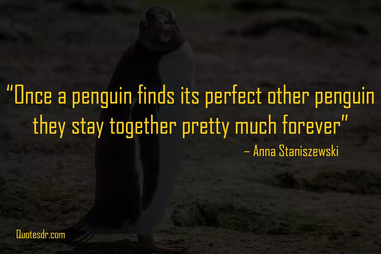 Short Penguin Quotes