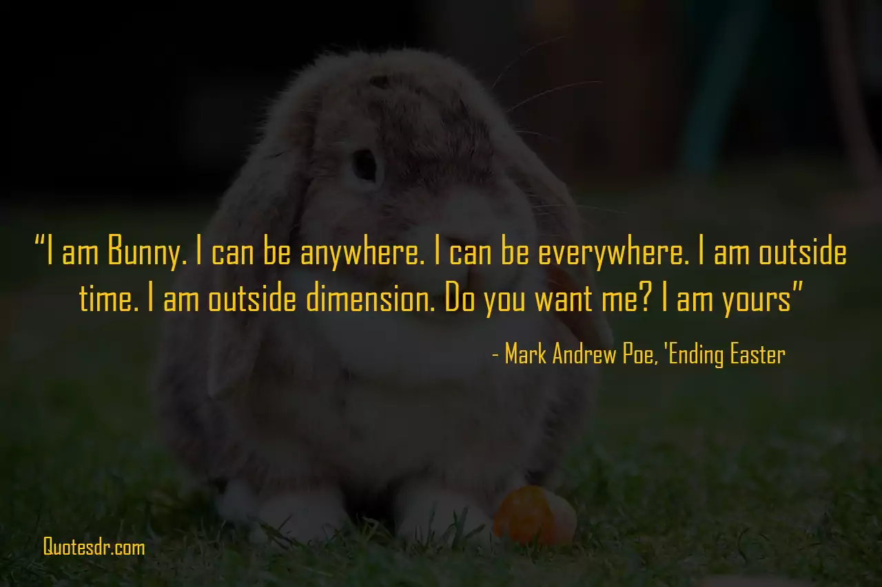 Cute Bunny Quotes Sayings