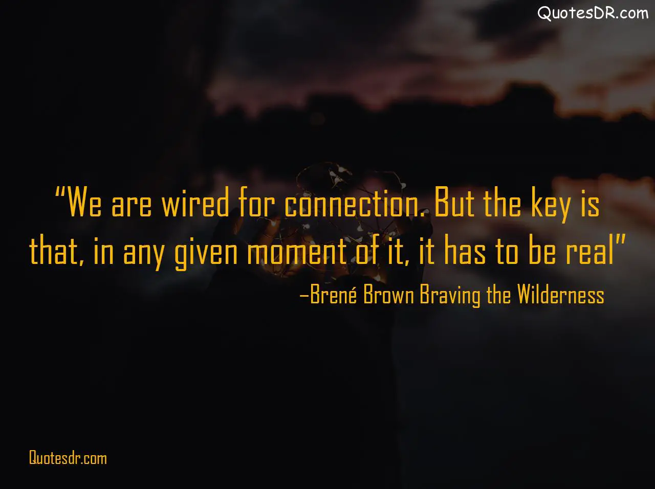 Braving the Wilderness Quotes