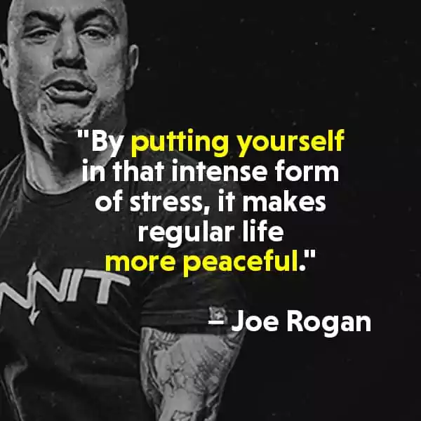 Joe Rogan Motivational Quotes