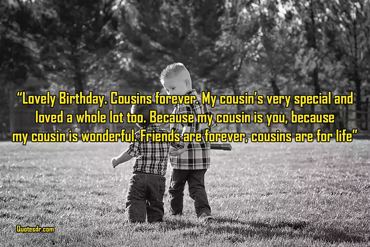 Quotes for Cousins Funny