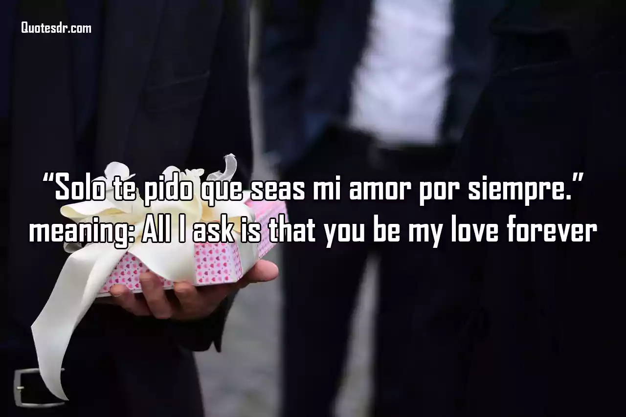 Spanish Love Quotes for Boyfriend