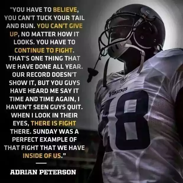 Adrian Peterson Stats